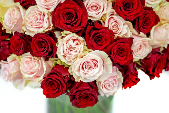 Bouquet of pink and red roses